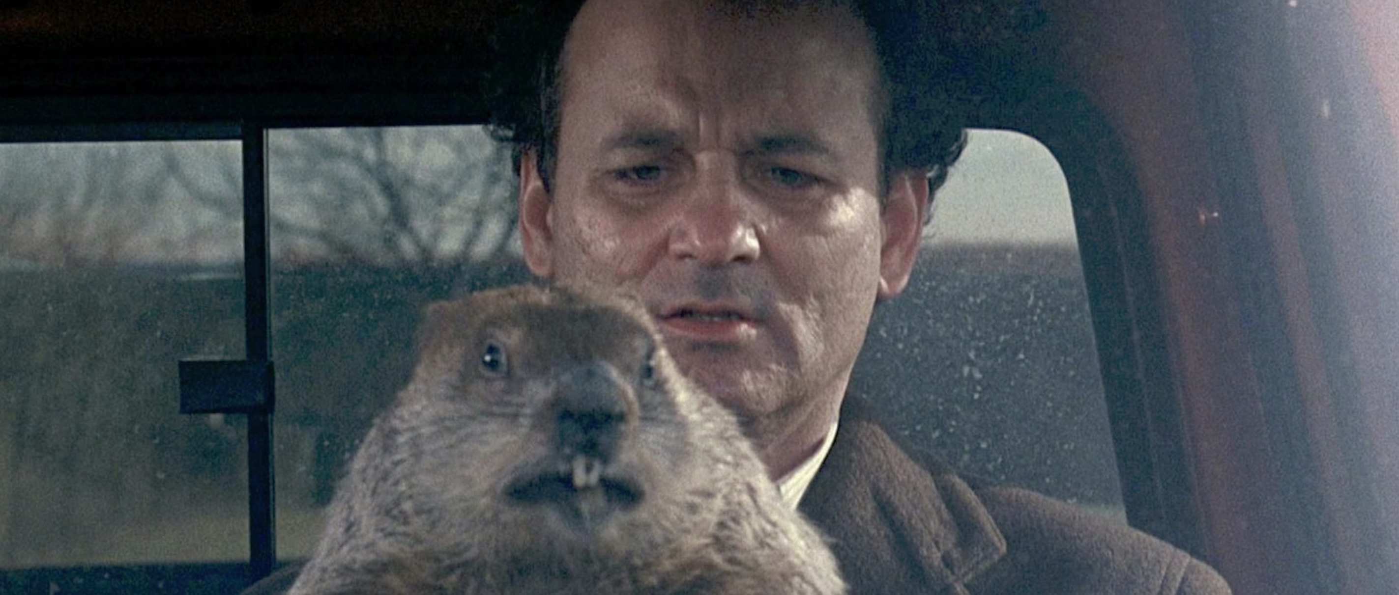 Watch groundhog day hot sale online free