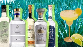 The Absolute Best Tequilas For Elevating Your Next Margarita, Ranked