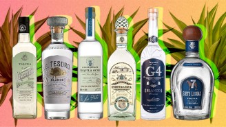 The Best Blanco Tequilas Under $50, Ranked