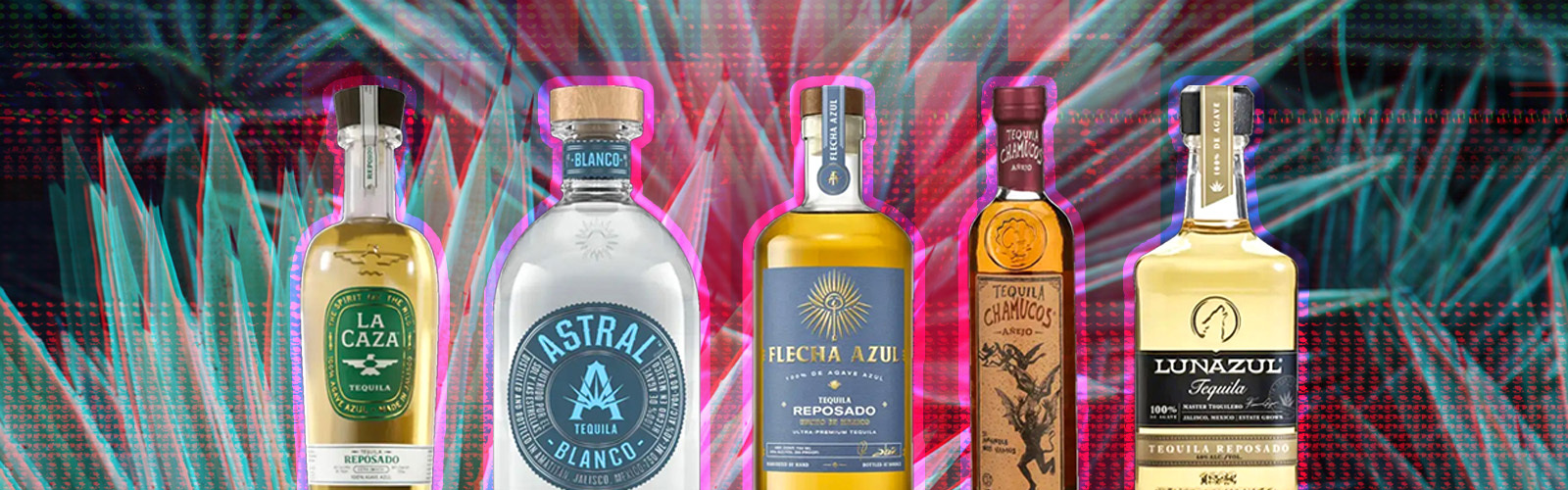 $20 And $50 Tequilas Face Off In A Blind Taste Test – GoneTrending