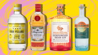 We Ranked Citrus-Flavored Gins To Mix With This Spring