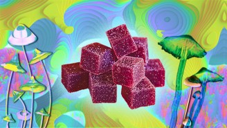 The Best Magic Mushroom Based Fruit Chews And Candies On The (Gray) Market