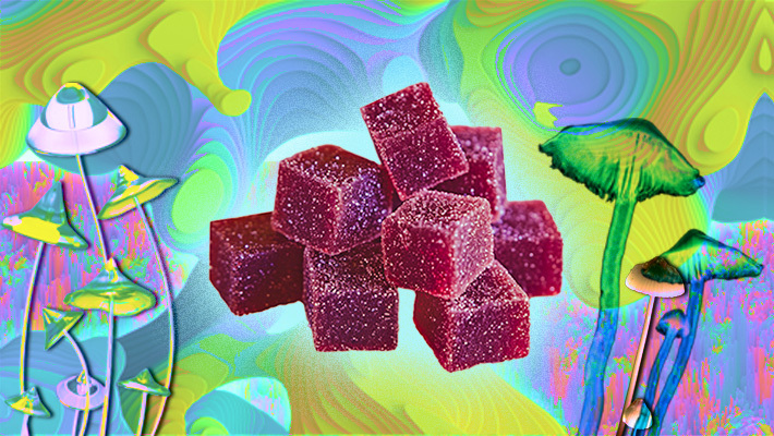 The Best Psilocybin (Magic Mushroom) Fruit Chews & Candies - How To Make Magic Mushroom Gummies