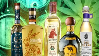 Reposado Tequilas That Balance ‘Smoothness’ With Agave Flavors, Ranked