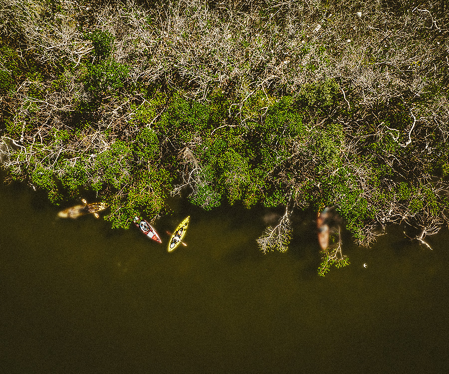 Fort Myers, Florida, USA