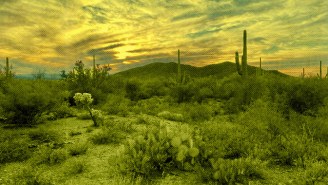 Phoenix’s Camelback Mountain Is An Incredible Hike With Epic Views… And You Hardly Have To Leave Town