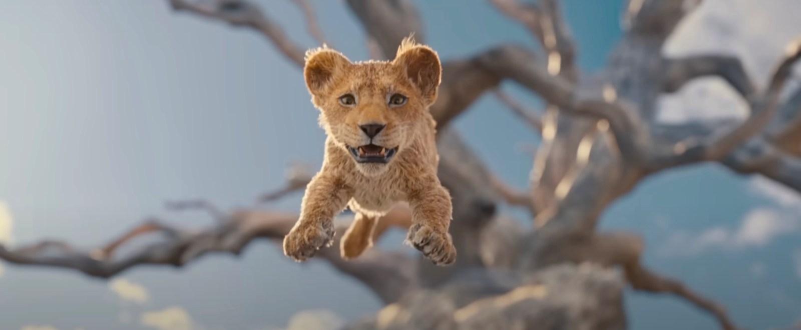 ‘Mufasa: The Lion King’: Everything To Know About The Disney Prequel Including The Cast, Release Date, And Trailer