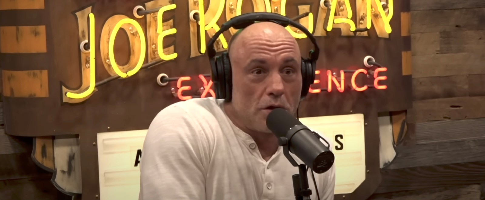 joe rogan