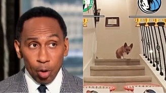 The Celtics Clipped Together Everyone Picking Against Them In The Finals, From Stephen A. To A Corgi