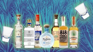 The 20 Best Tequilas For Taking Shots With Your Friends, Ranked