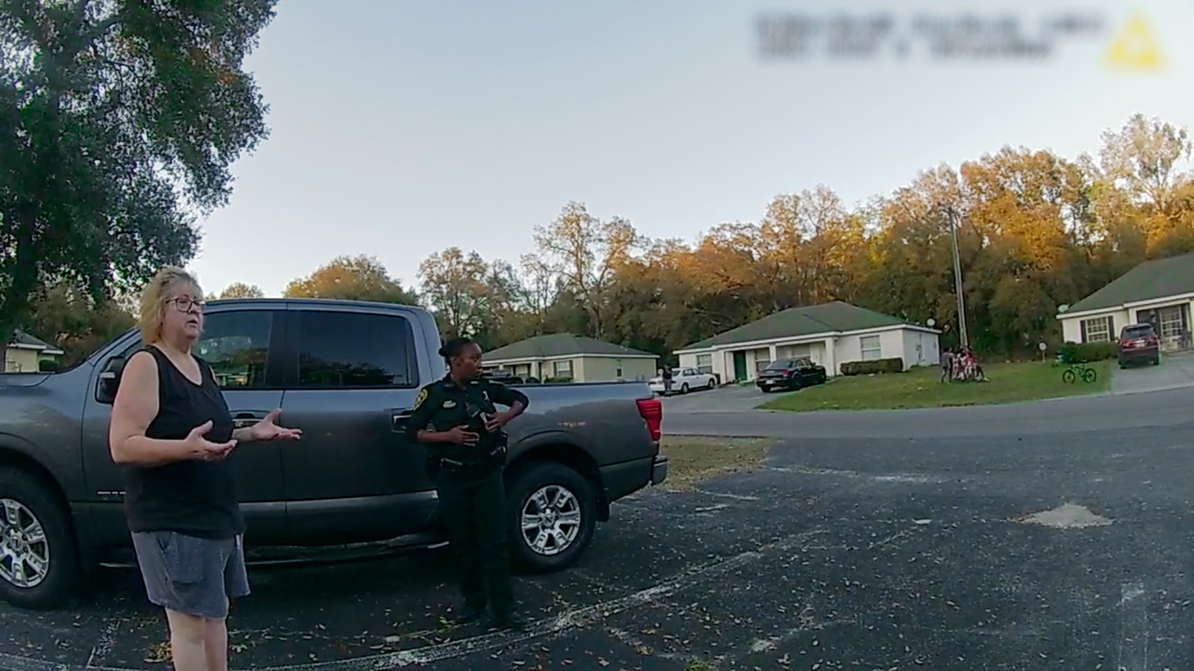 The Perfect Neighbor